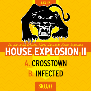 DJ Sprinkles - House Explosion II