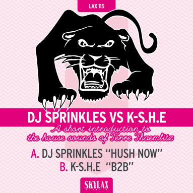 DJ Sprinkles Vs K-S.H.E - Hush Now