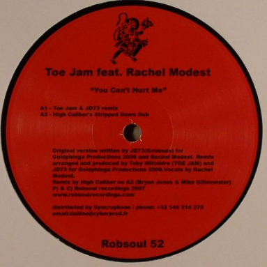 Toe Jam feat Rachel Modest - You Can't Hurt Me